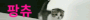 302430.gif