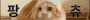 팡츄.gif